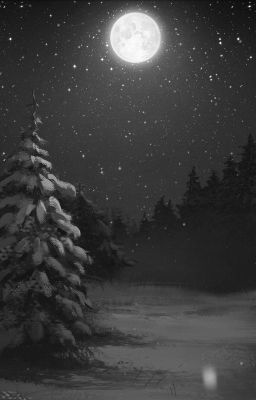 Таёжный лес.