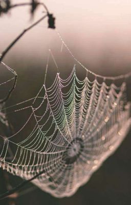 Заброшеное место