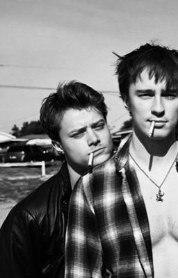 Больше не акула