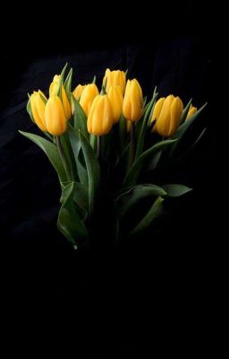 Потерянный рай