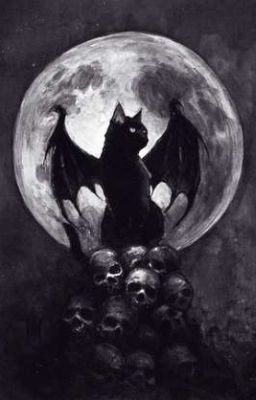 Кошачьи проделки 