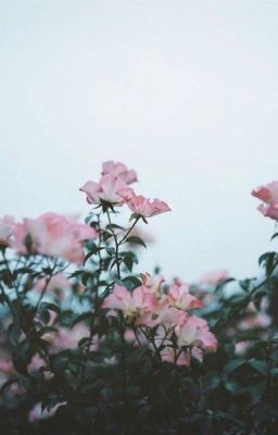 Жизнь.Фантазии или реальность?