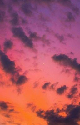 Новая  Любовь ❤