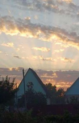 она больше не вернётся?..