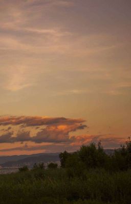 Перевёрнутая судьба 