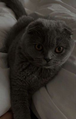 TxT и 5 девушек