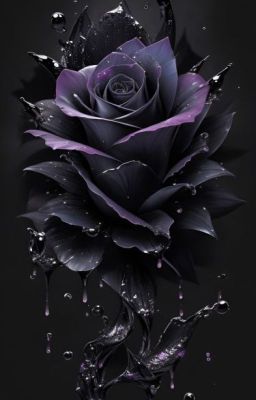 Черная роза