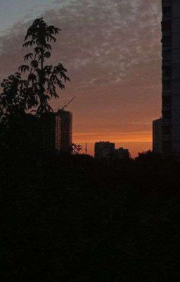 Твой голос и музыка 