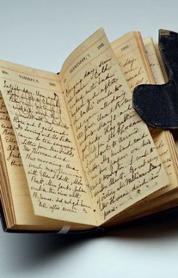 Дневник выжившего