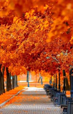 Новая жизнь