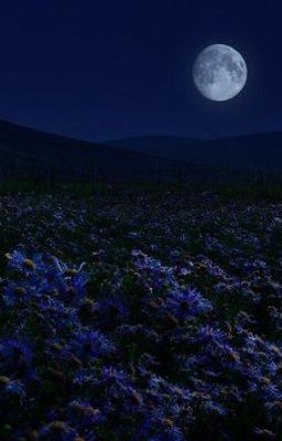 Колыбельная ночи