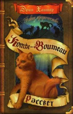 Рассвет. Коты-Воитали 