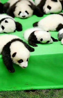 Наш дебильный класс. Истории шизонутого 7《В》