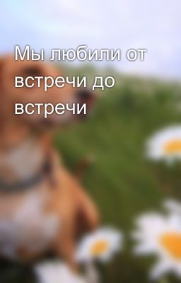 Мы любили от встречи до встречи 