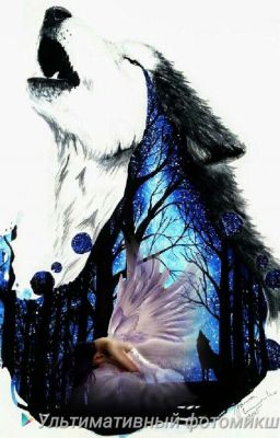 Любовь Альфы