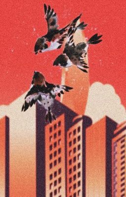 Мой вклад в историю