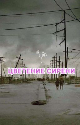 Цветение Сирени