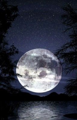 Синеглазая тайна