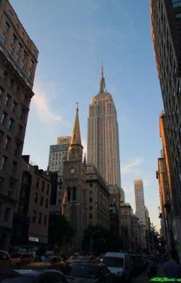 Покорение города мечты