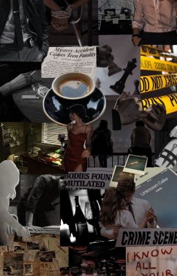 По моим следам