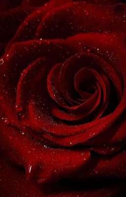 Разбитое сердце