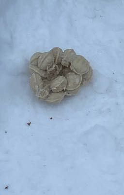 Объясняю почему меня так долго нет 