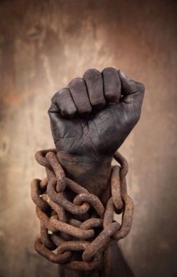 Она хочет мести..//фитиль