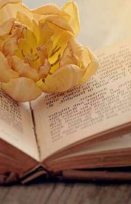 Жизнь - это один огромный миг