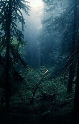 Отправся В Мир