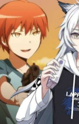 класс убийц