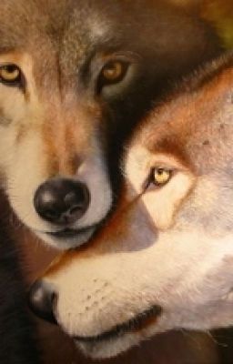 Брак по контракту