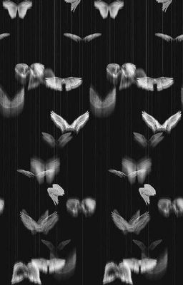 Четырёхугольник