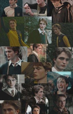 Imagines Седрик Диггори 