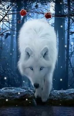 Ты- моя истинная пара