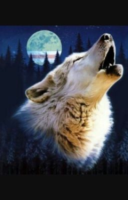 Академия оборотней