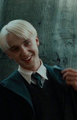 Мой чистокровный сын встречаться с грязнокровкой!