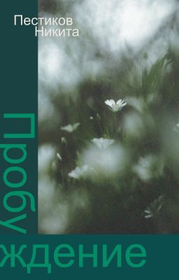 Пробуждение