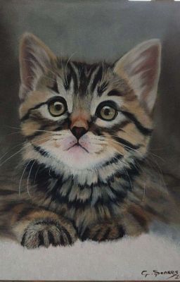 любовь в 7 классе