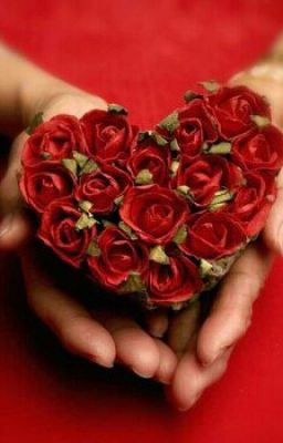 Богиня любви:погоня за смертью