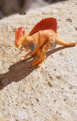 Научные рассказы