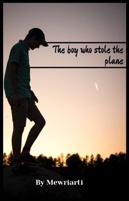 Мальчик, угнавший самолёт 