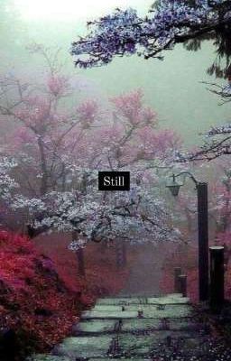 Still