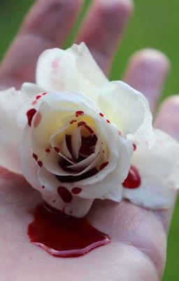 Кровавый жасмин