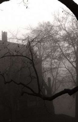 ||Страшные и шакируещие истории ||