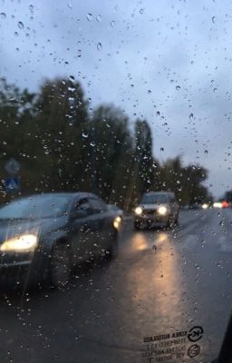 Длиною в год. 