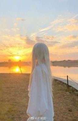 Вперёд, к солнцу! 