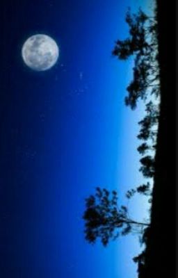 Стихи. Часть I