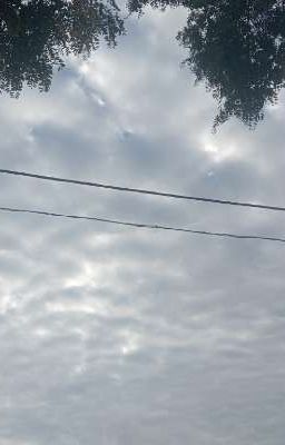 моя любимая жертва