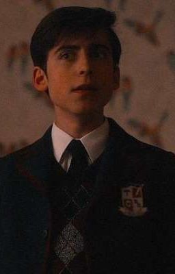 брат ты даун? 