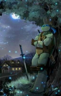 Черепашки ниндзя и девушка с клана Огонян